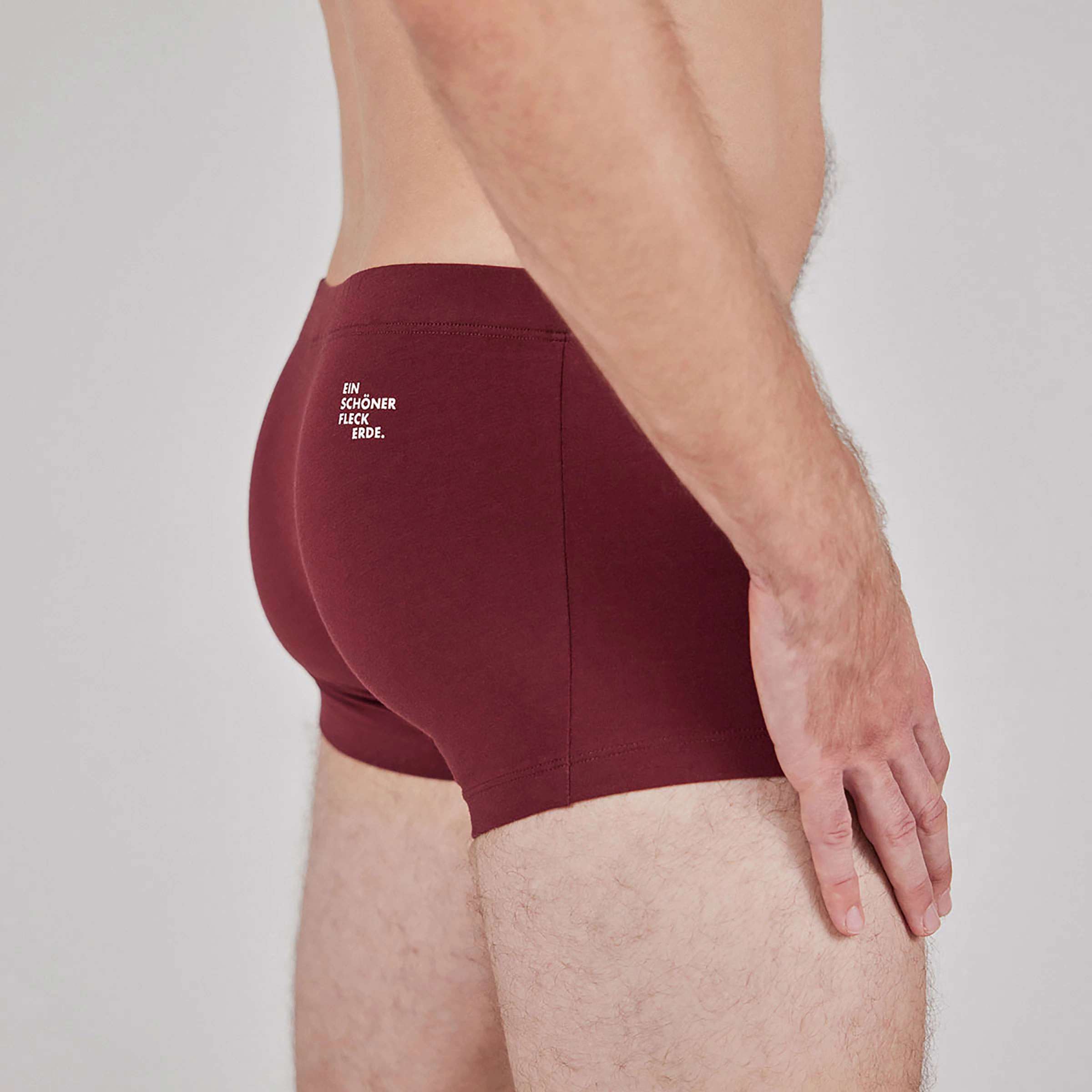 Ein Schöner Fleck Erde Men's Wildspitze Boxer - Bilde 4