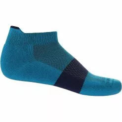 Icebreaker Men's Multisport Light Micro Socks