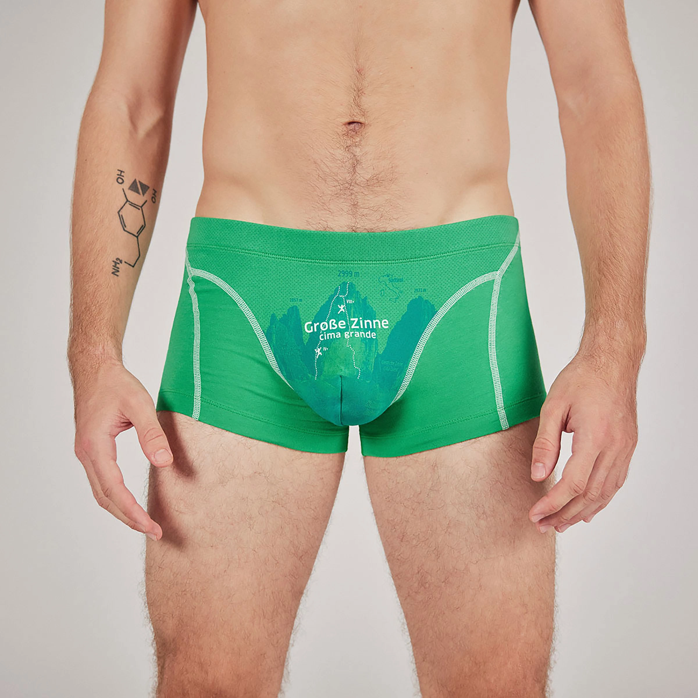 Ein Schöner Fleck Erde Men's Große Zinne Boxer Underpants - Bilde 3