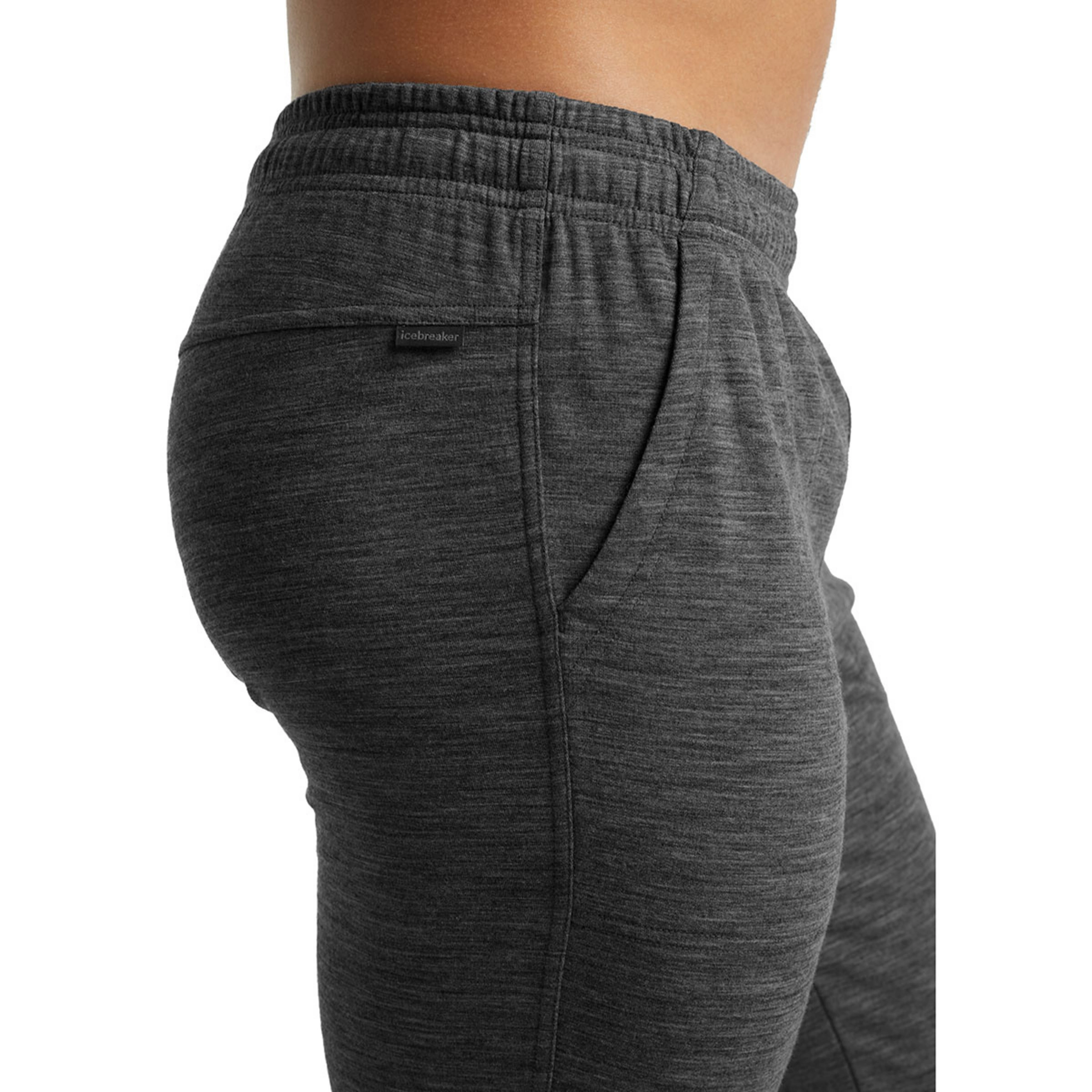 Icebreaker Men's Shifter Pant - Bilde 2