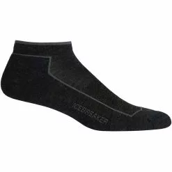 Icebreaker Men's Lifestyle Cool Lite Low Cut Socks